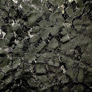 Beautiful lace BCBG Max Aria lace shirt - long sleeve size Large